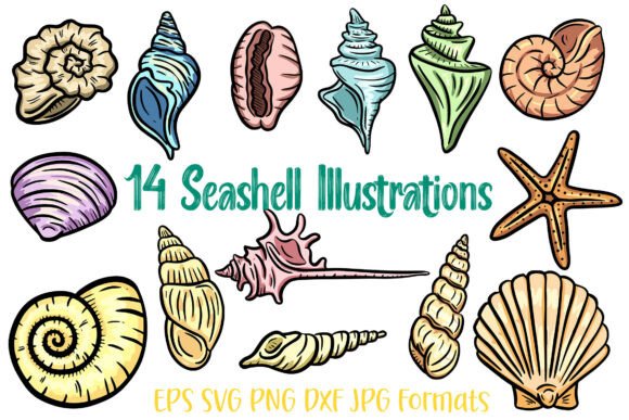 14 Seashell Shells Clipart Illustration: A Designer's Toolkit